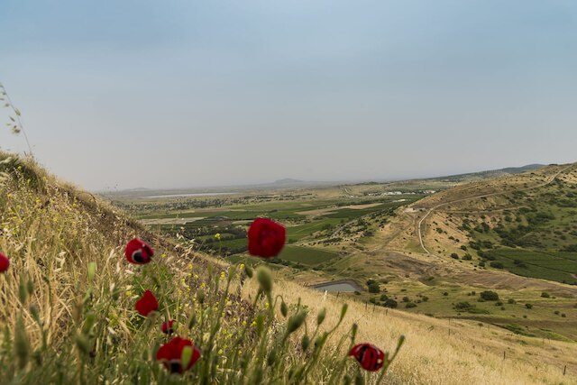 Syrian Arab Republic